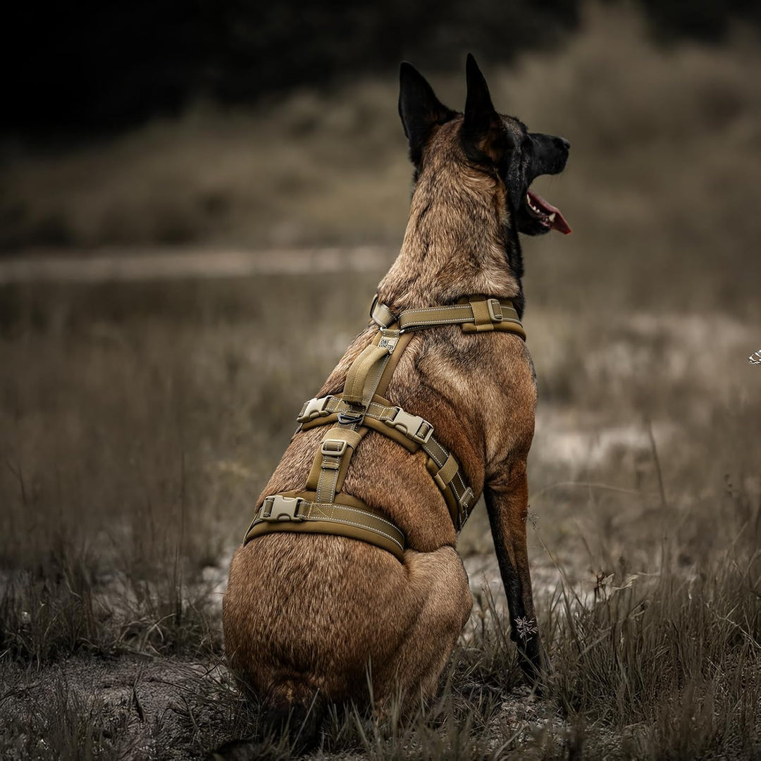 OneTigris Hundegeschirr, HOUNDLOCK Taktisches Geschirr Ausbruchsicher Einstellbar Weich Gepolstert B