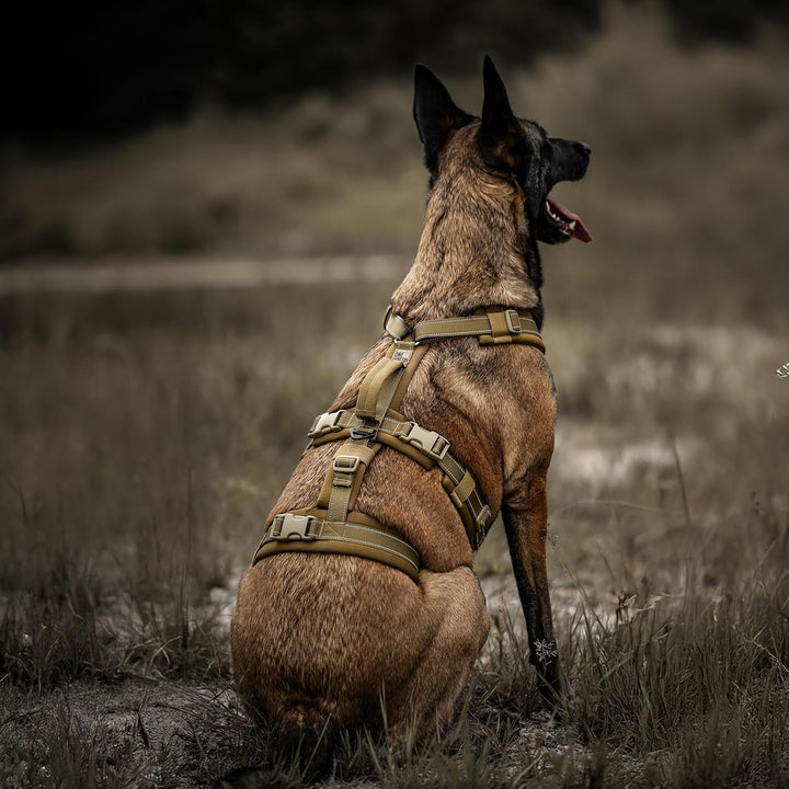 OneTigris Hundegeschirr, HOUNDLOCK Taktisches Geschirr Ausbruchsicher Einstellbar Weich Gepolstert B