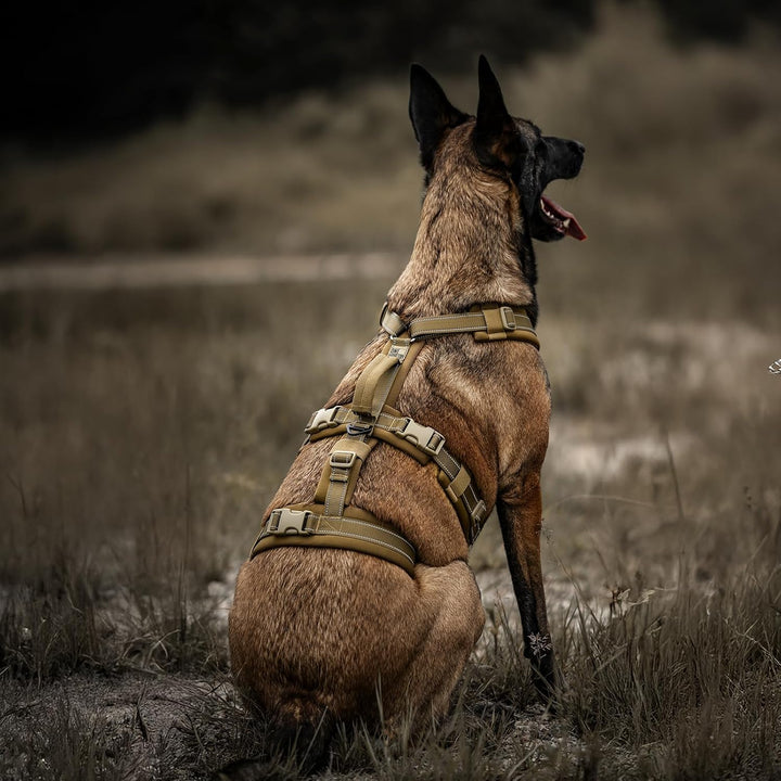 OneTigris Hundegeschirr, HOUNDLOCK Taktisches Geschirr Ausbruchsicher Einstellbar Weich Gepolstert B