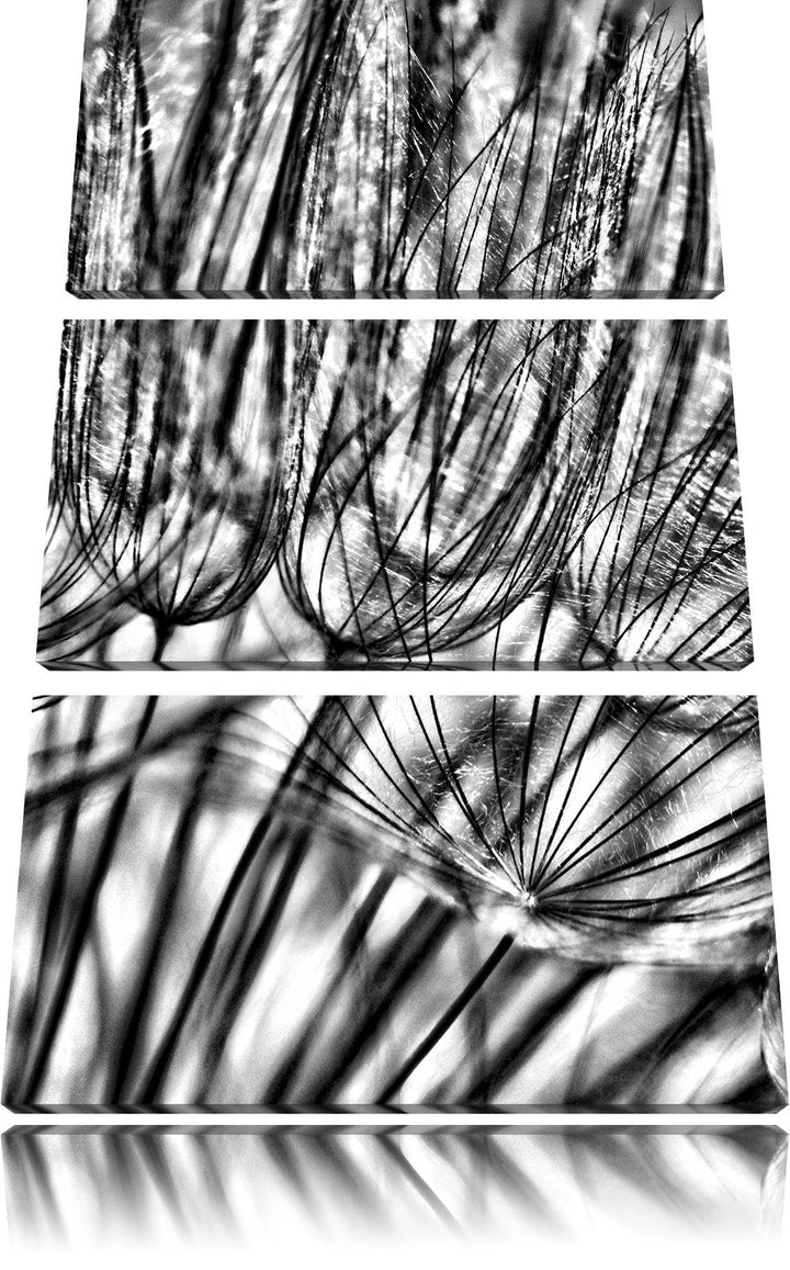 Pixxprint Pusteblumen als Leinwandbild/Grösse: 3 Teilig (120x80) cm/Wandbild/Kunstdruck/fertig bespa