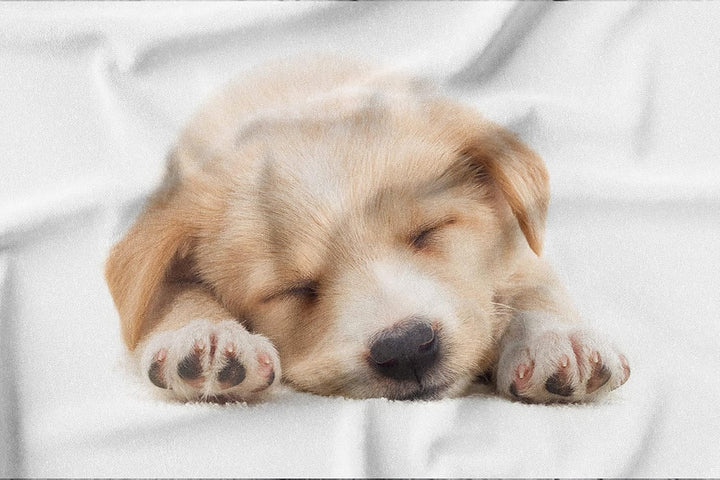 Hoimlm Kinder Bettwäsche 135x200 Hund bedruckter Bettbezug Kopfkissenbezug, Microfaser Bettbezug Set