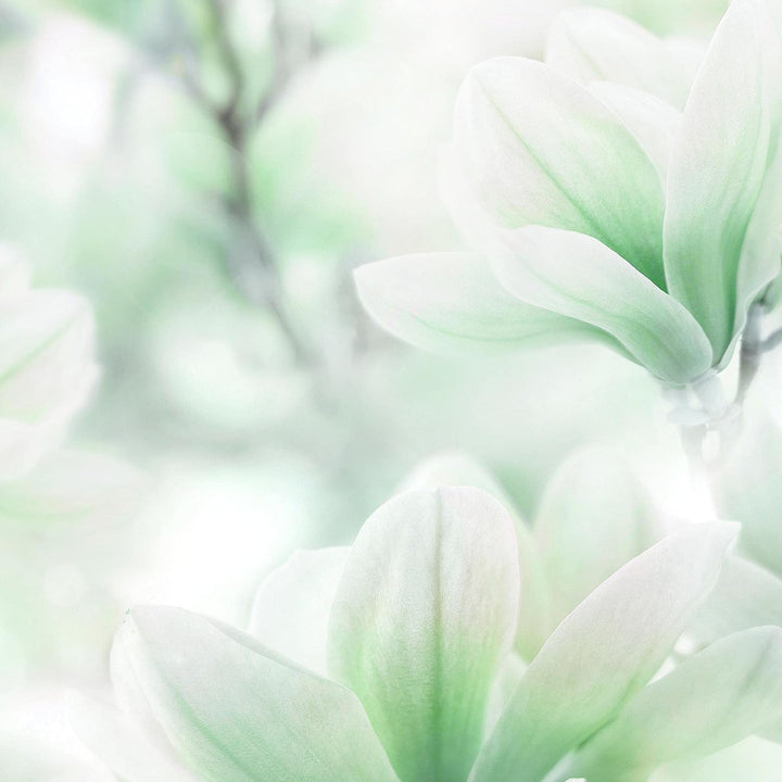 Runa Art Wandbilder Blumen Magnolien 5 Teilig Bild auf Vlies Leinwand Deko Wohnzimmer Blumenmotiv Gr
