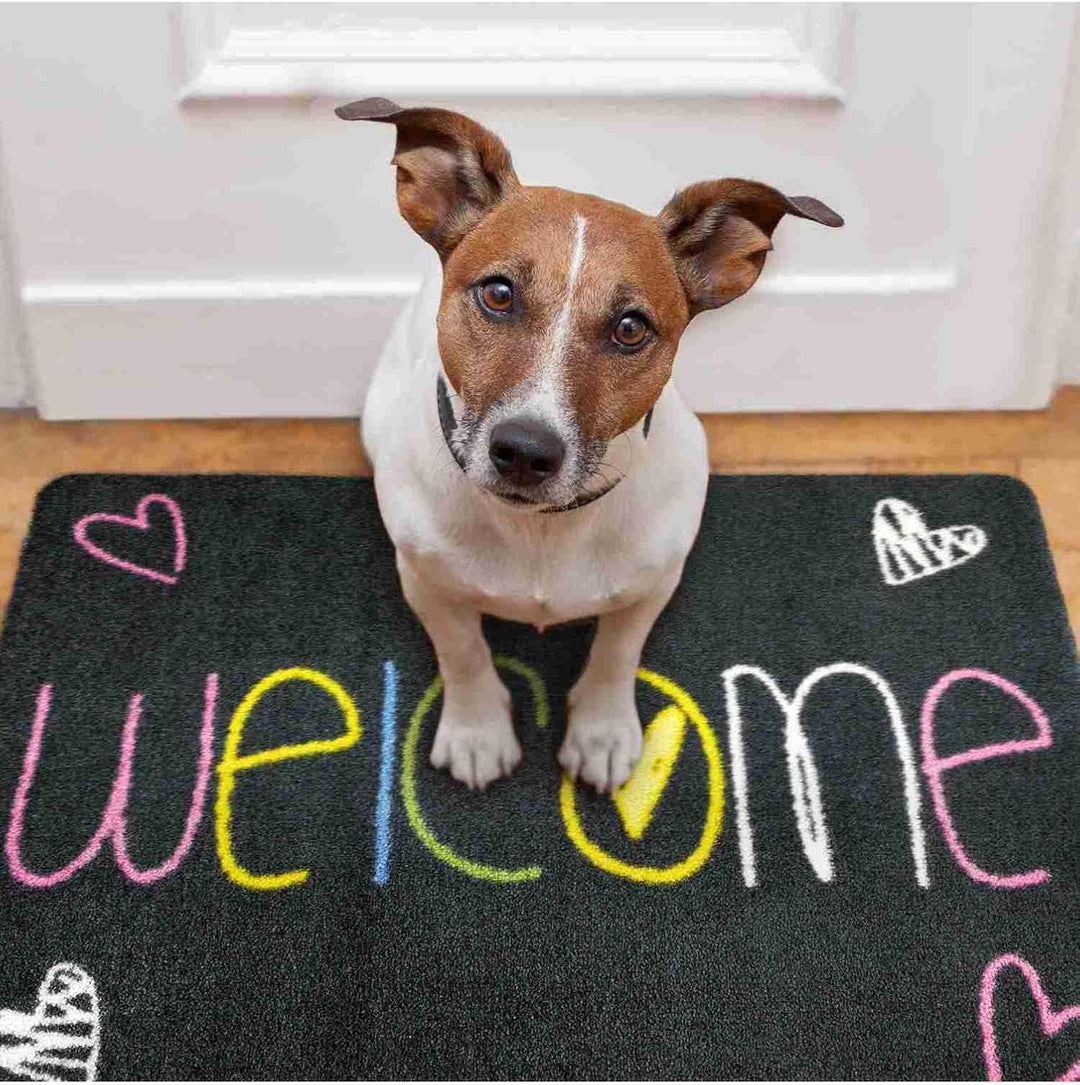 NEU! Waschbare Fussmatte Welcome Heart 40x60cm Grau ohne Rand - rutschfest und einfach zu säubern 40
