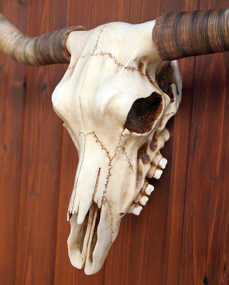 Bullenschädel Longhorn Schädel Skull Totenschädel Schädel Geweih Figur