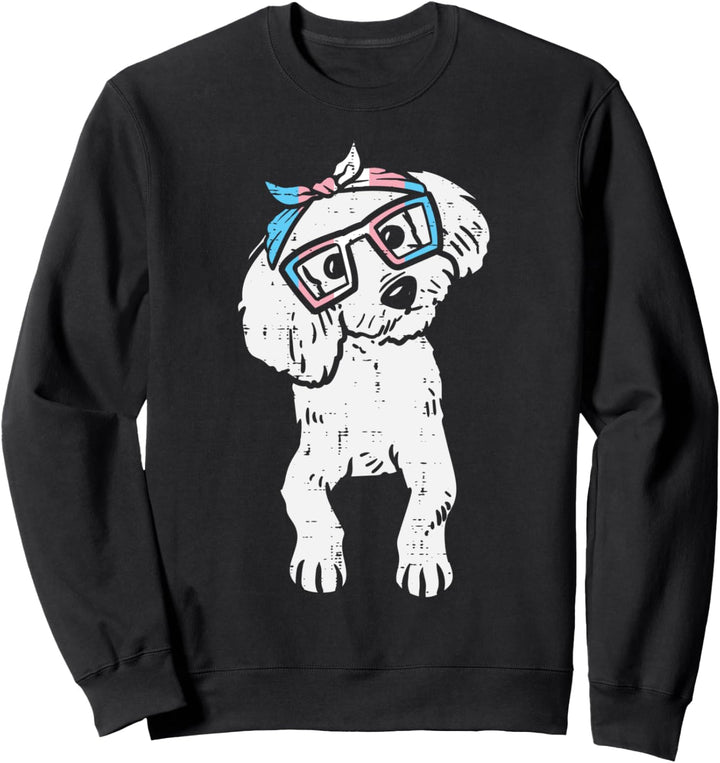 Poodle Transgender Headband Trans Pride Flag Transsexual Dog Sweatshirt