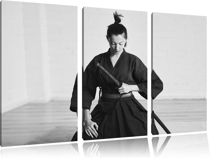Pixxprint stolze Samurai-Kriegerin Kunst B&W als Leinwandbild/Grösse: 3 Teilig (120x80) cm/Wandbild/