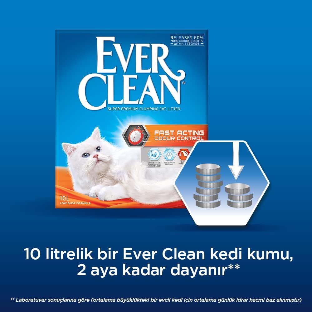 Ever CLEAN Fast Acting 6 LT