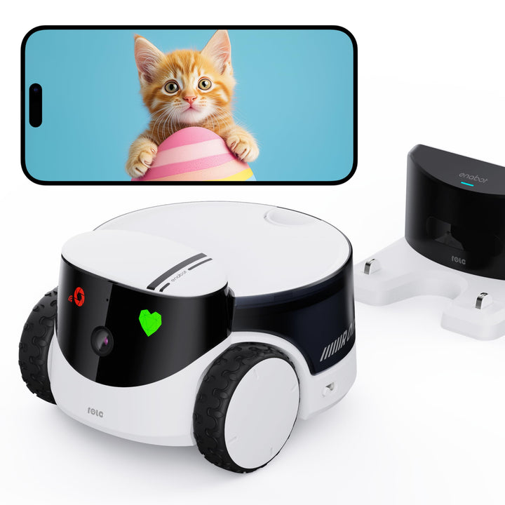 Enabot EBO ROLA PetPal 2.5K Katzenkamera mit Lagerung Modul,WLAN Mobiler Emo Robot mit Nachtsicht,Ka