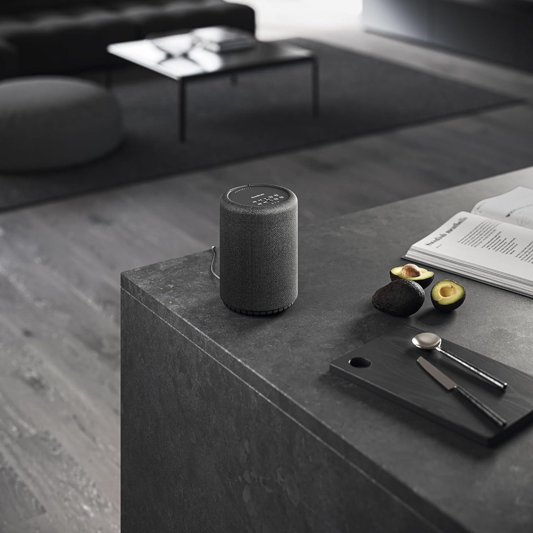 Audio Pro A10 MkII W Wireless Multiroom Lautsprecher, Schwarz/Dunkelgrau/Hellgrau, Bluetooth 5.0, WL