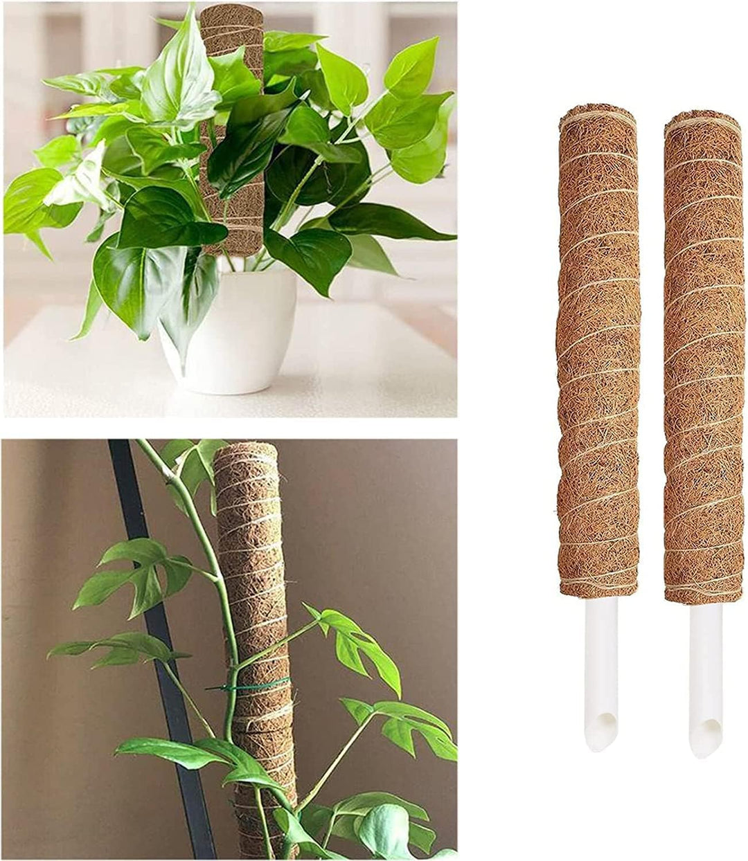 4 Stück Moosstab, 30cm Pflanzstab Kokos Moosstab, Monstera Rankhilfe, für Pflanzenklettern, Hausgart