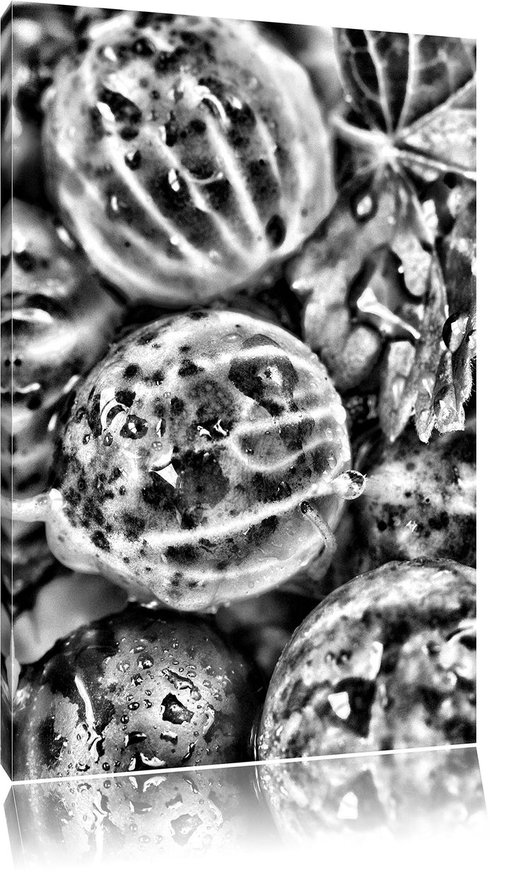 Pixxprint Leckere Stachelbeeren/Format: 100x70cm / Leinwandbild fertig bespannt Wandbild Kunstdruck,
