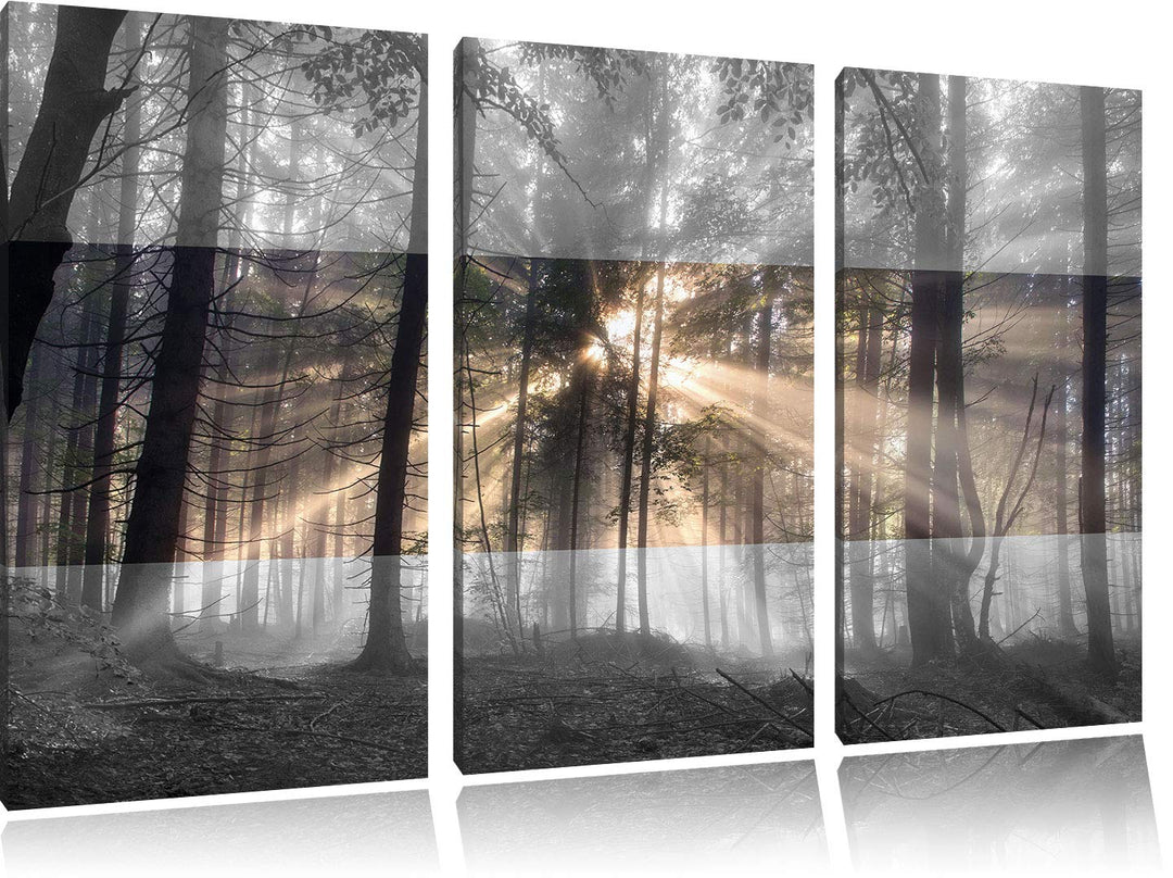 Pixxprint Herbstwald im Nebel als Leinwandbild | Grösse: 3 Teilig (120x80) | Wandbild| Kunstdruck |
