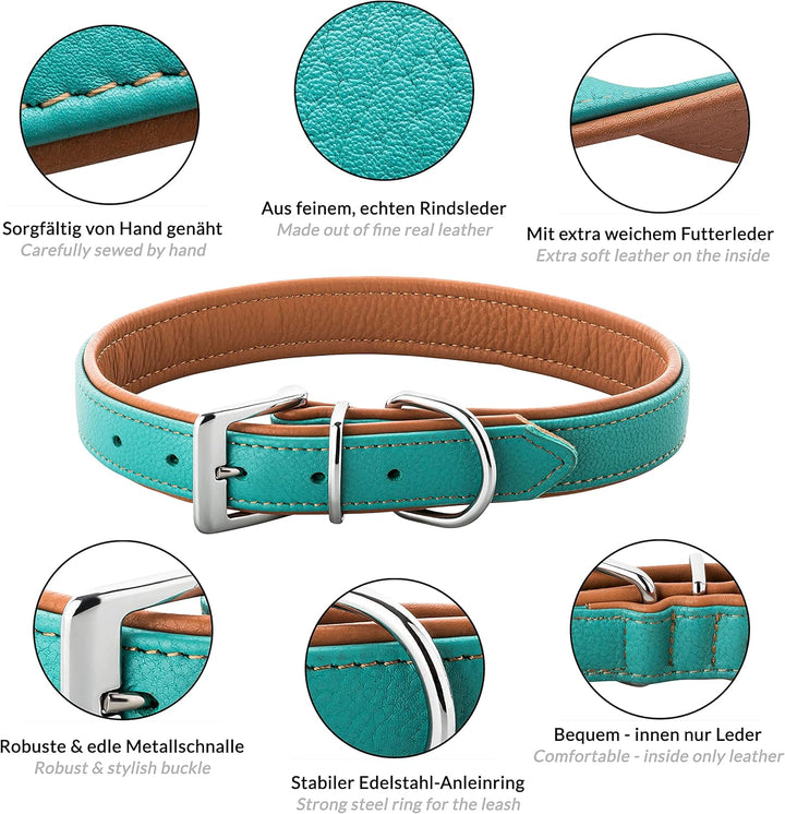 Schnüffelfreunde Lederhalsband Hund - Fun Line (XXL - 55-65cm, Türkis-Braun) XXL Türkis-Braun, XXL T