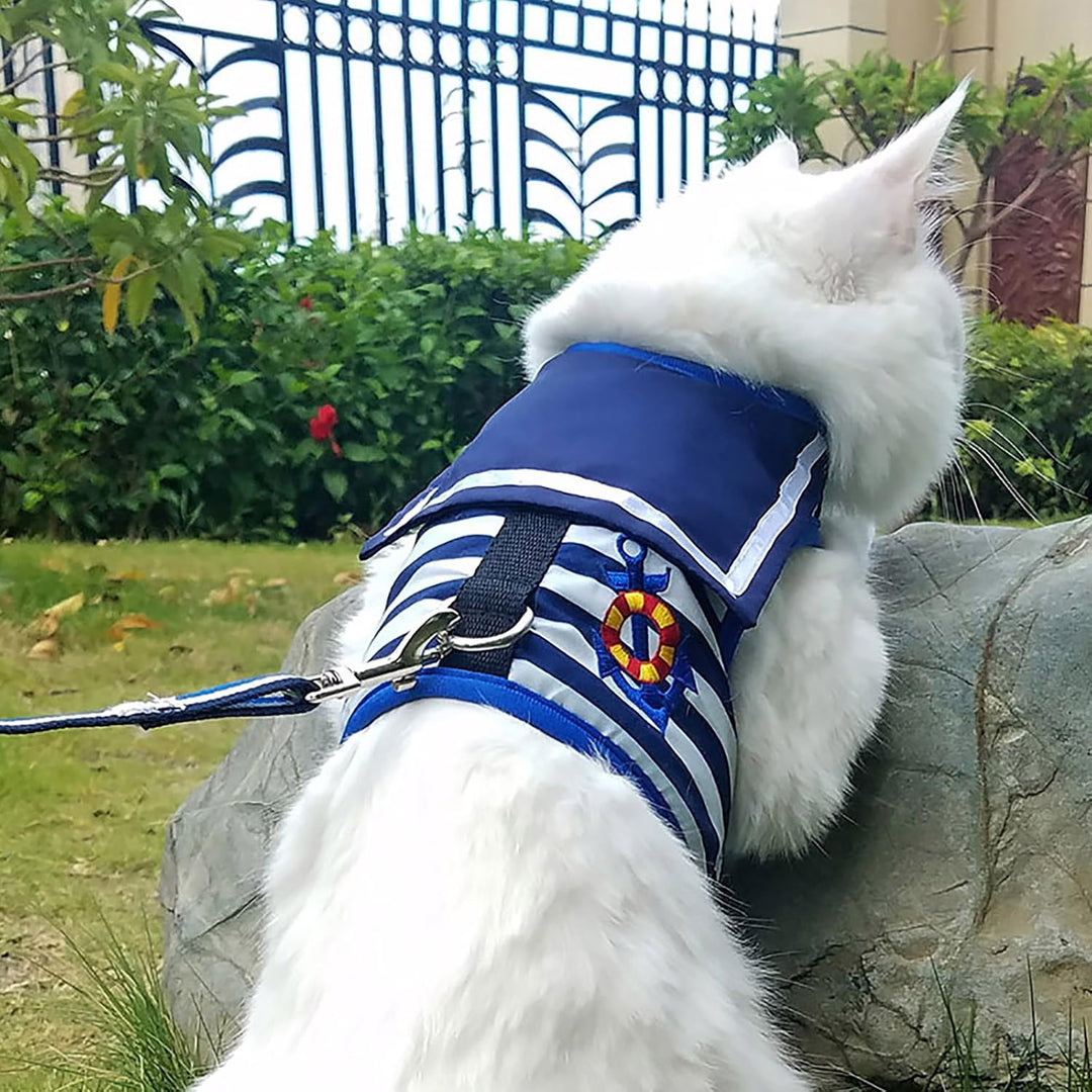 Yizhi Miaow Katzengeschirr und Leine zum Spazierengehen, ausbruchsicher, verstellbares Katzengeschir