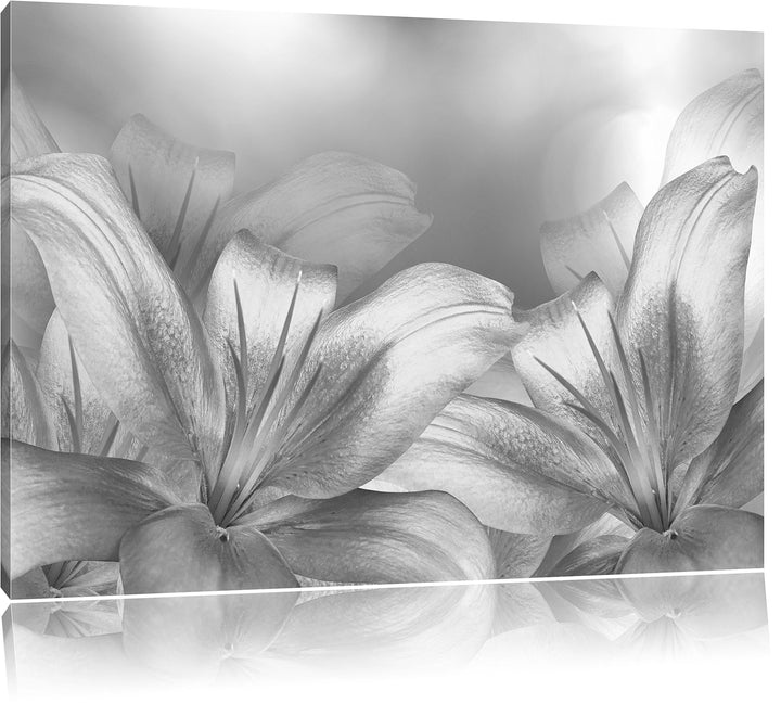 türkise Lilien Kunst B&W, Format: 100x70 auf Leinwand, XXL riesige Bilder fertig gerahmt mit Keilrah