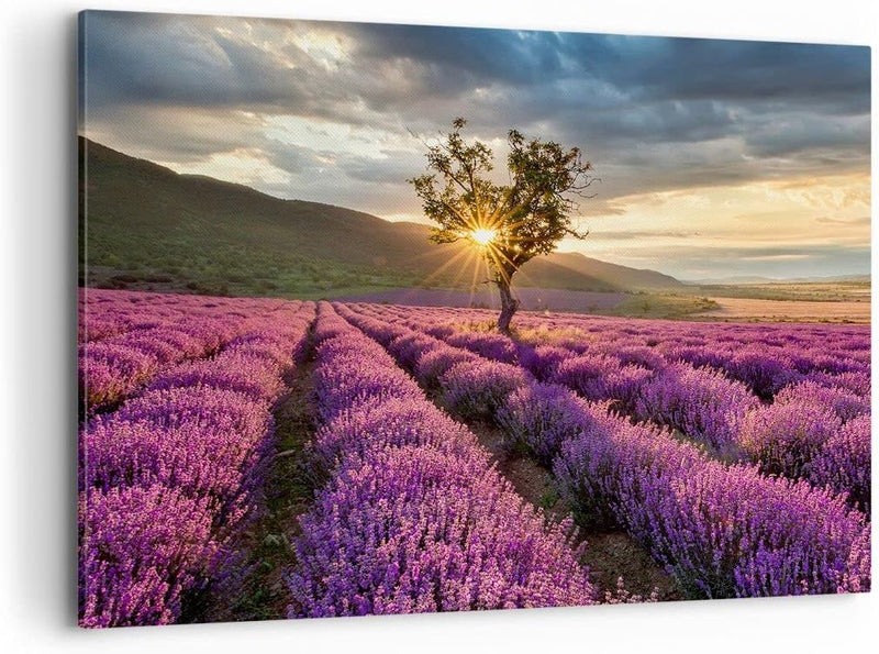 Bilder auf Leinwand 100x70cm Leinwandbild mit Rahmen Lavendel Berge Feld Gross Wanddeko Bild Schlafz