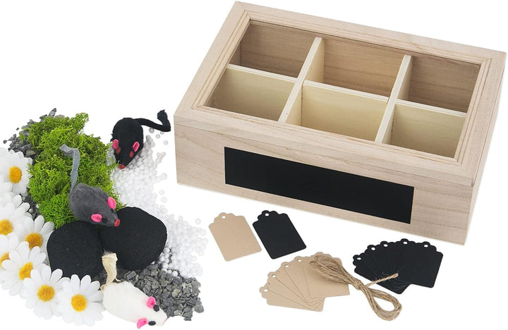 SURPRISA Schotter Schatulle 6er - kreative Verpackung für Geldgeschenke und persönliche Geschenkbox