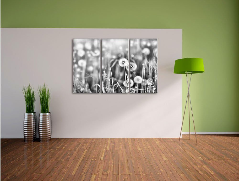 Pixxprint Pusteblumen auf Frühlingswiese als Leinwandbild/Grösse: 3 Teilig (120x80) cm/Wandbild/Kuns