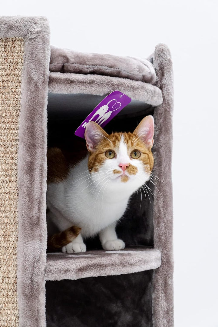 Petrebels XXL Kratztonne für grosse Katzen, Superdome 100 cm, Cappuccino | extrem stabil, Ø 50 cm Br