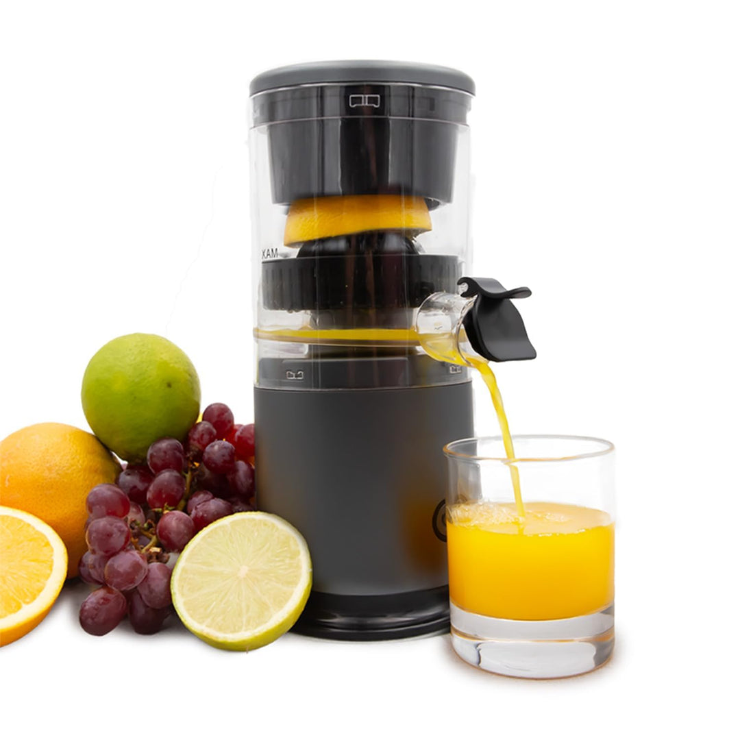 Livington JuiceBoost - tragbarer Akku Entsafter - 160ml Auffangbehälter - kabellos - Saftpresse klei