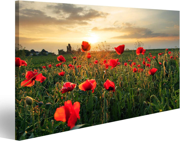 bilderfelix® Bild auf Leinwand Mohnblumen Feldblume bei Sonnenuntergang Wandbild, Poster, Leinwandbi
