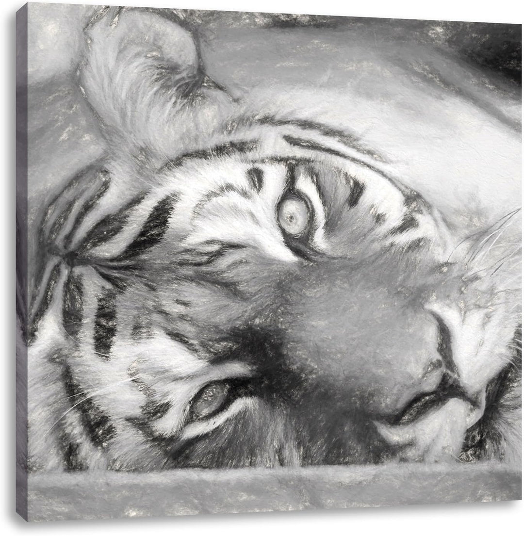Pixxprint Liegender Tiger/Format: 70x70cm / Leinwandbild fertig bespannt Wandbild Kunstdruck, 70x70