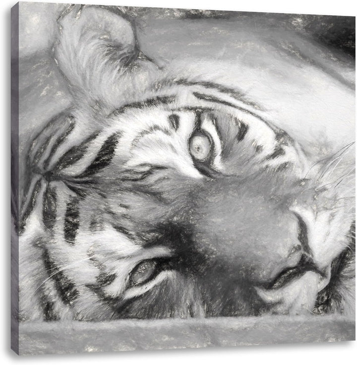 Pixxprint Liegender Tiger/Format: 70x70cm / Leinwandbild fertig bespannt Wandbild Kunstdruck, 70x70