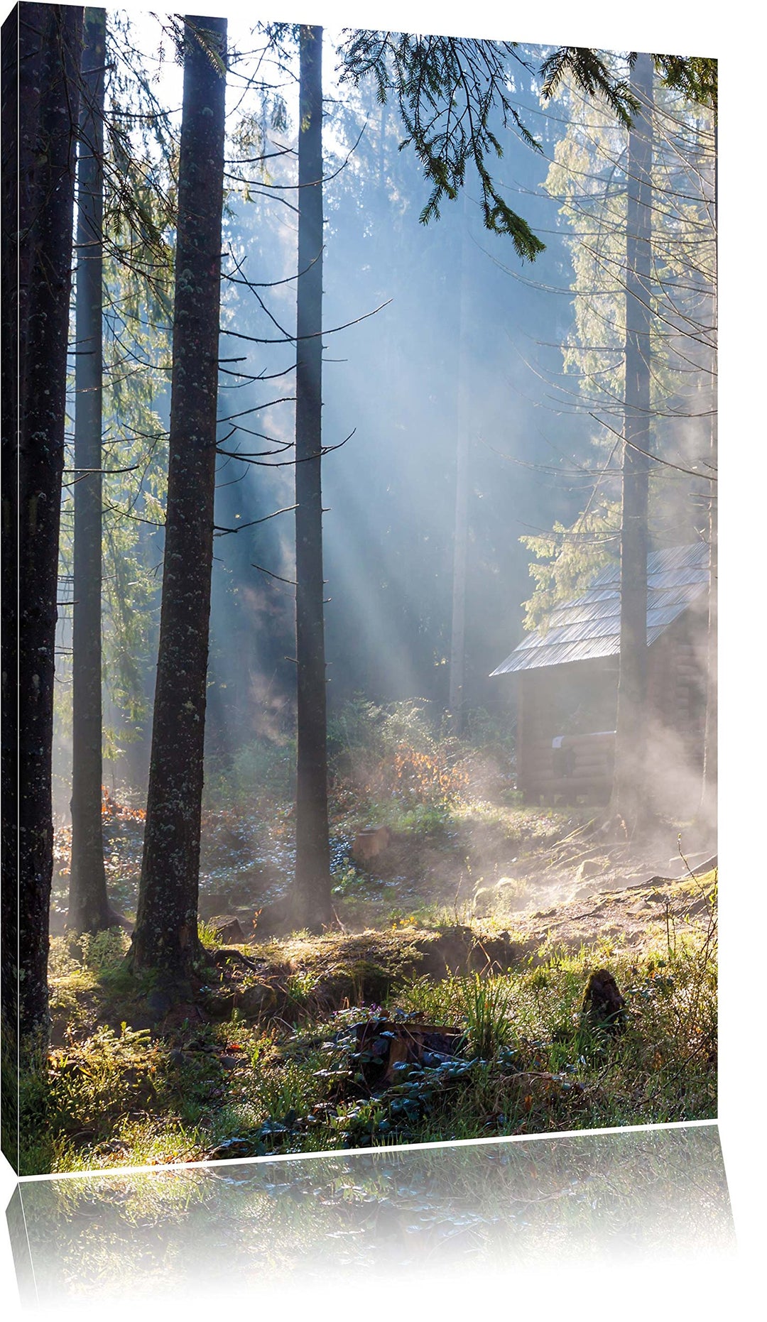 Sonnenstrahlen im Wald, Format: 100x70 auf Leinwand, XXL riesige Bilder fertig gerahmt mit Keilrahme