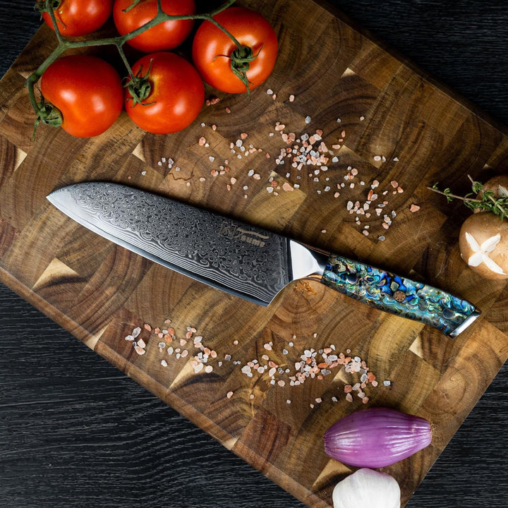 Tsume Exotic Set Abalone, Messerset mit 4 Premium Küchenmessern, Echte Damast Küchenmesser mit Perlm