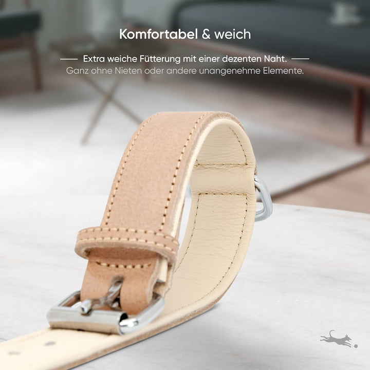 FREUDENTIER® Hundehalsband aus Leder, Made in Holland, gefüttert & super komfortabel, hochwertiges b