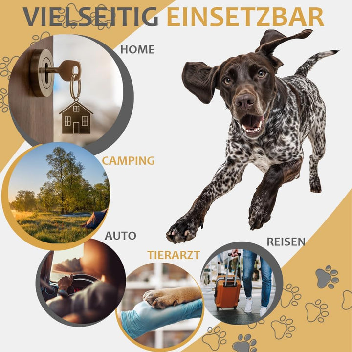 Faltbare Hundebox Transporttasche Transportbox Auto für Katze Hunde Grosse Kleine Box Bag Bed Decke