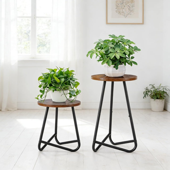 HDANI Rund Pflanzenständer,Blumenständer,Pflanzenregal aus Holz und Metall,Modernes Regal für Zimmer