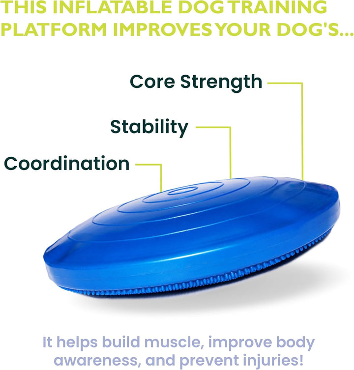 Ball Dynamics FPAWSBD 22 FitPAWS Balance Scheibe, 56 cm, blau