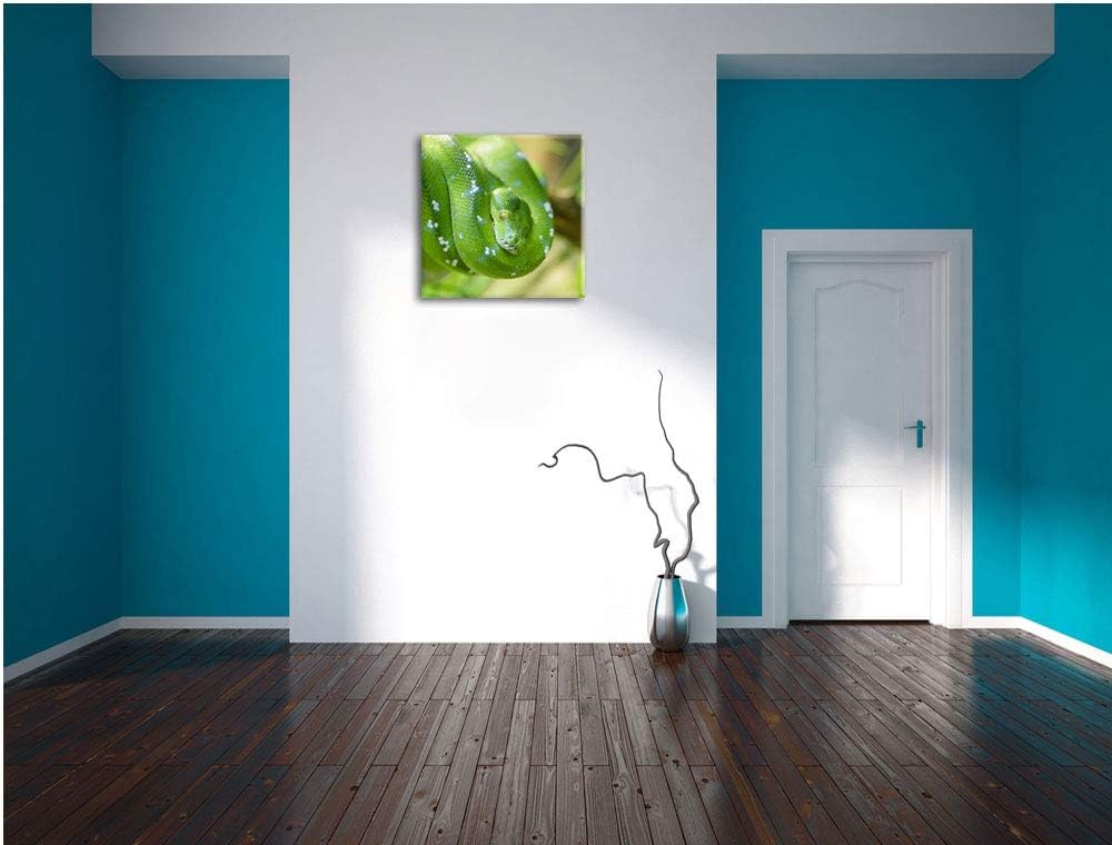 Grüne giftige Baumschlange, Format: 70x70 auf Leinwand, XXL riesige Bilder fertig gerahmt mit Keilra