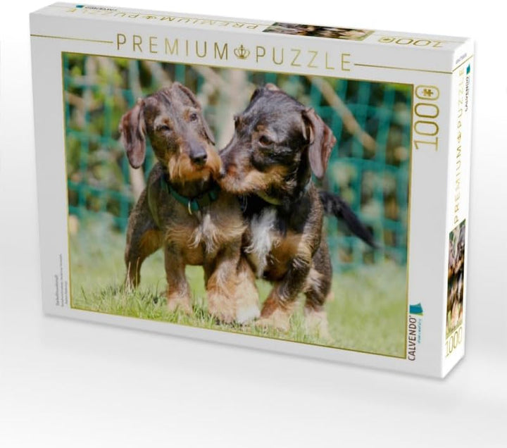 CALVENDO Puzzle Dackelfreundschaft 1000 Teile Lege-Grösse 64 x 48 cm Foto-Puzzle Bild von Barbara Mi