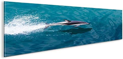 islandburner Bild Bilder auf Leinwand Delphin V2 Delfin Panorama XXL Poster Leinwandbild Wandbild De