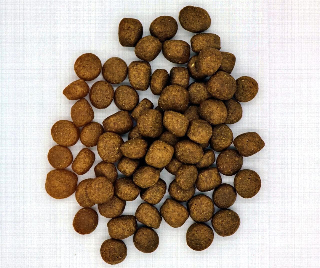 MyPetClub Premium Welpen (1 x 8 kg) Junior Trockenfutter getreidefrei mit Lachs | Hypoallergenes Wel