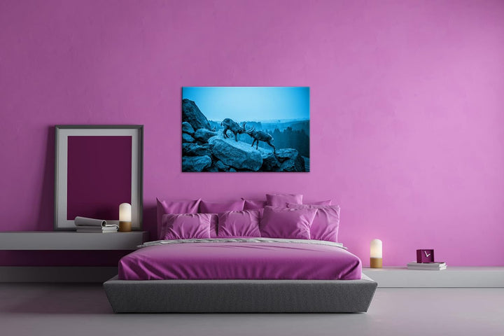 deyoli zwei kämpfende Steinböcke Format: 80x60 Effekt: Monocrome Blau als Leinwand, Motiv fertig ger