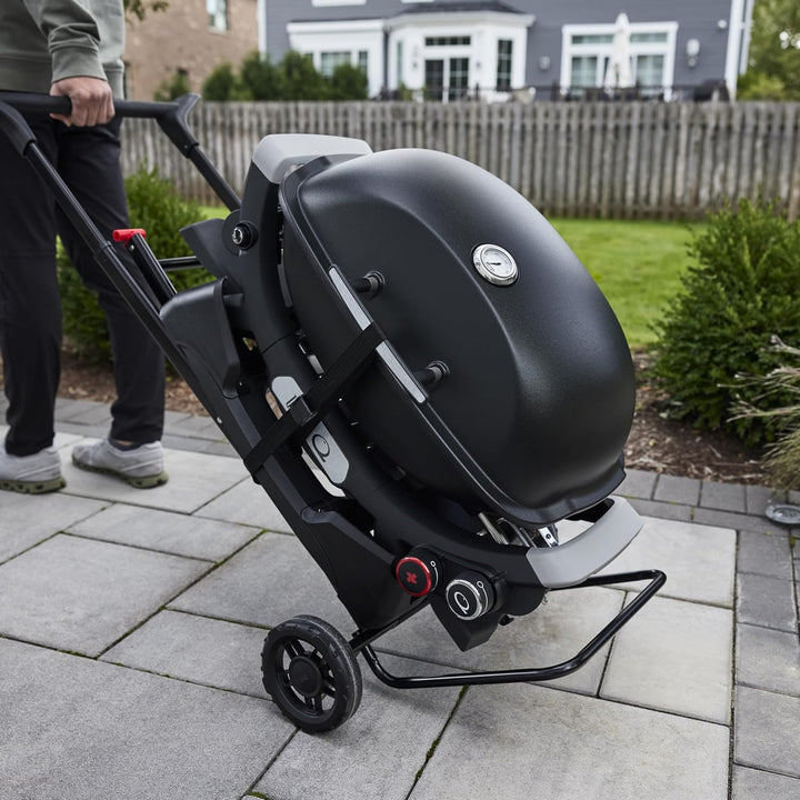 Weber Tragbarer Wagen, passend für Q1XXN- und Q2XXN-Serien