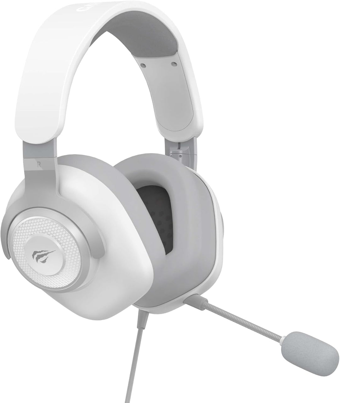 Havit H2230d Gaming Headset mit abnehmbarem, omnidirektionalem Mikrofon – 50 mm Treiber & Surround S