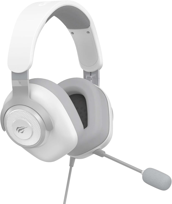 Havit H2230d Gaming Headset mit abnehmbarem, omnidirektionalem Mikrofon – 50 mm Treiber & Surround S