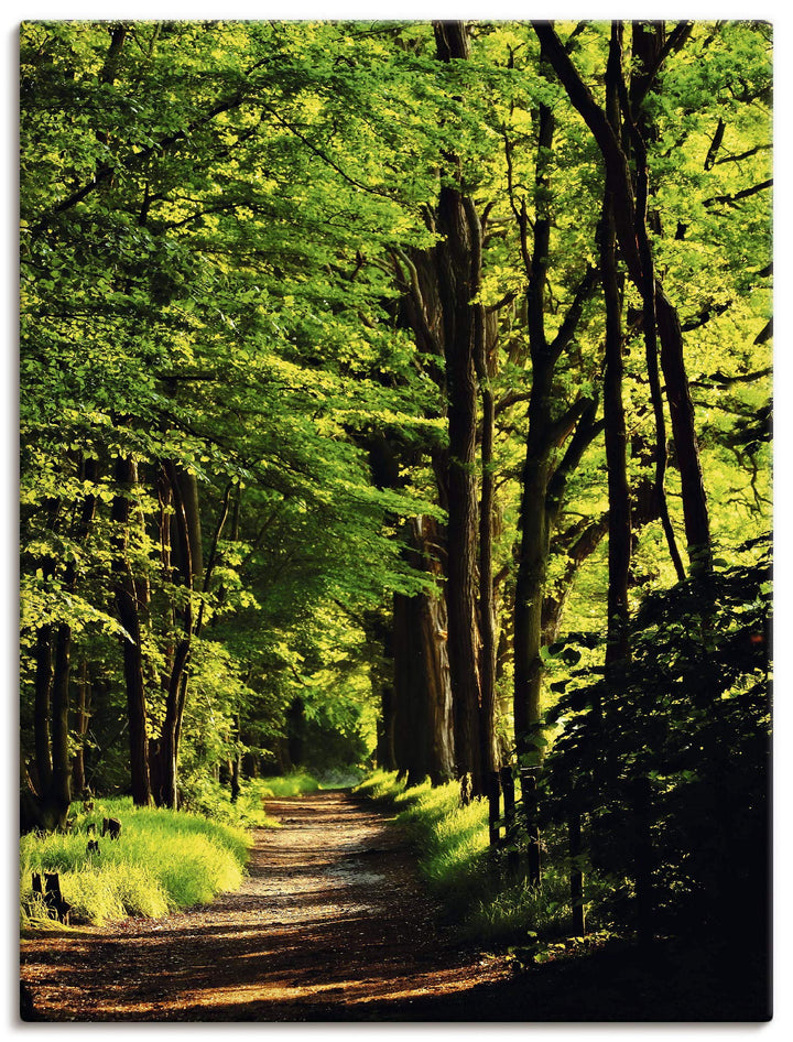 ARTland Leinwandbilder Wandbild Bild Leinwand 60x80 cm Wald Landschaft Natur Frühling Sonne Bäume La