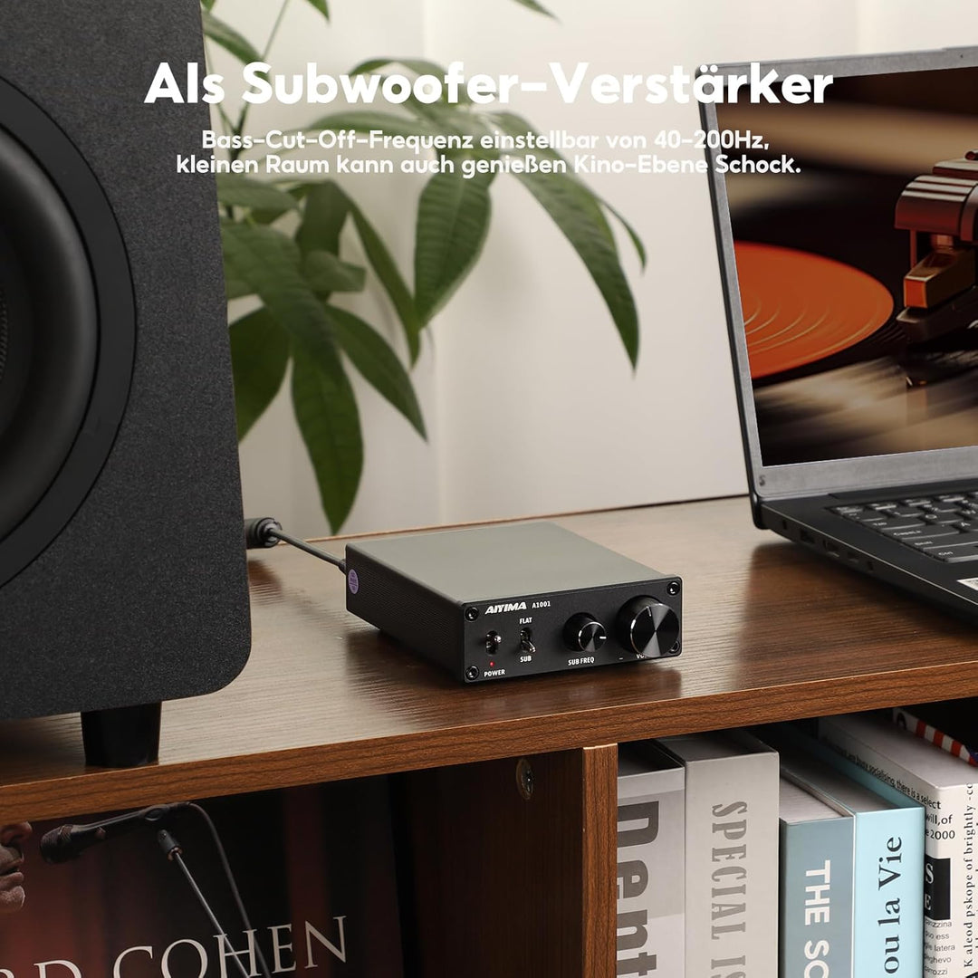 AIYIMA A1001Mono-Subwoofer-Verstärker 100W Klasse D HiFi Digital Power Audio-Verstärker AMP 100W Hei