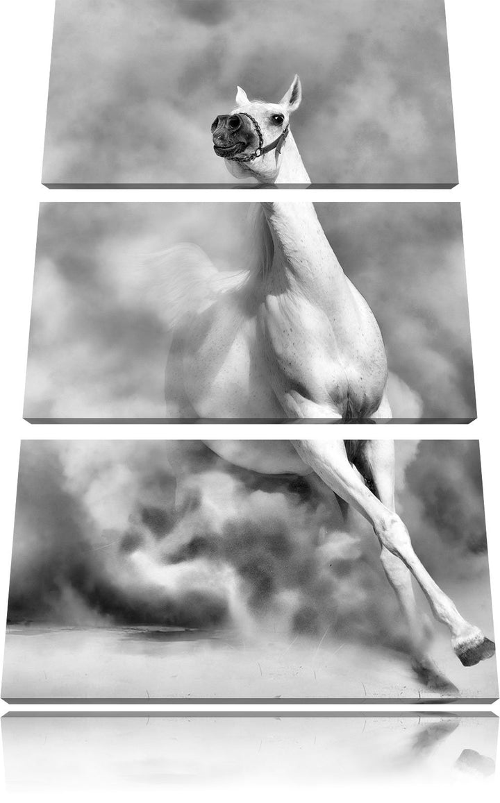 Pixxprint Weisses Pferd in der Wüste als Leinwandbild/Grösse: 3 Teilig (120x80) cm/Wandbild/Kunstdru