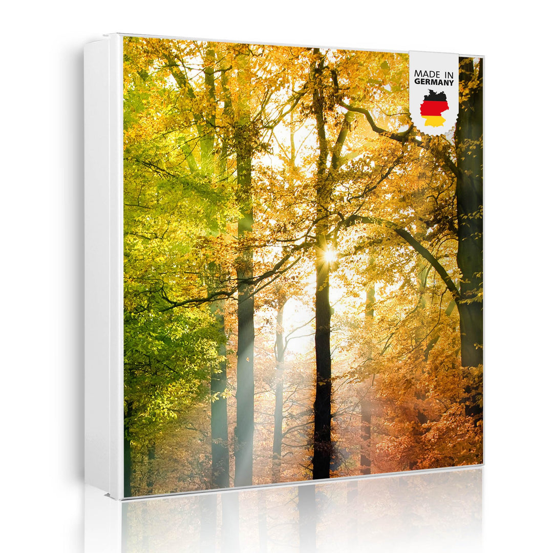 banjado® Grosser Schlüsselkasten Glas/Schlüsselbox 30cm x 30cm mit 50 Haken - Motiv Herbstwald/Schlü