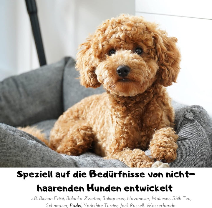 Moki Bär Leave-In-Pflege Conditioner für Hunde 200 ml I Mit wertvollem Arganöl aus Marokko I Für ges