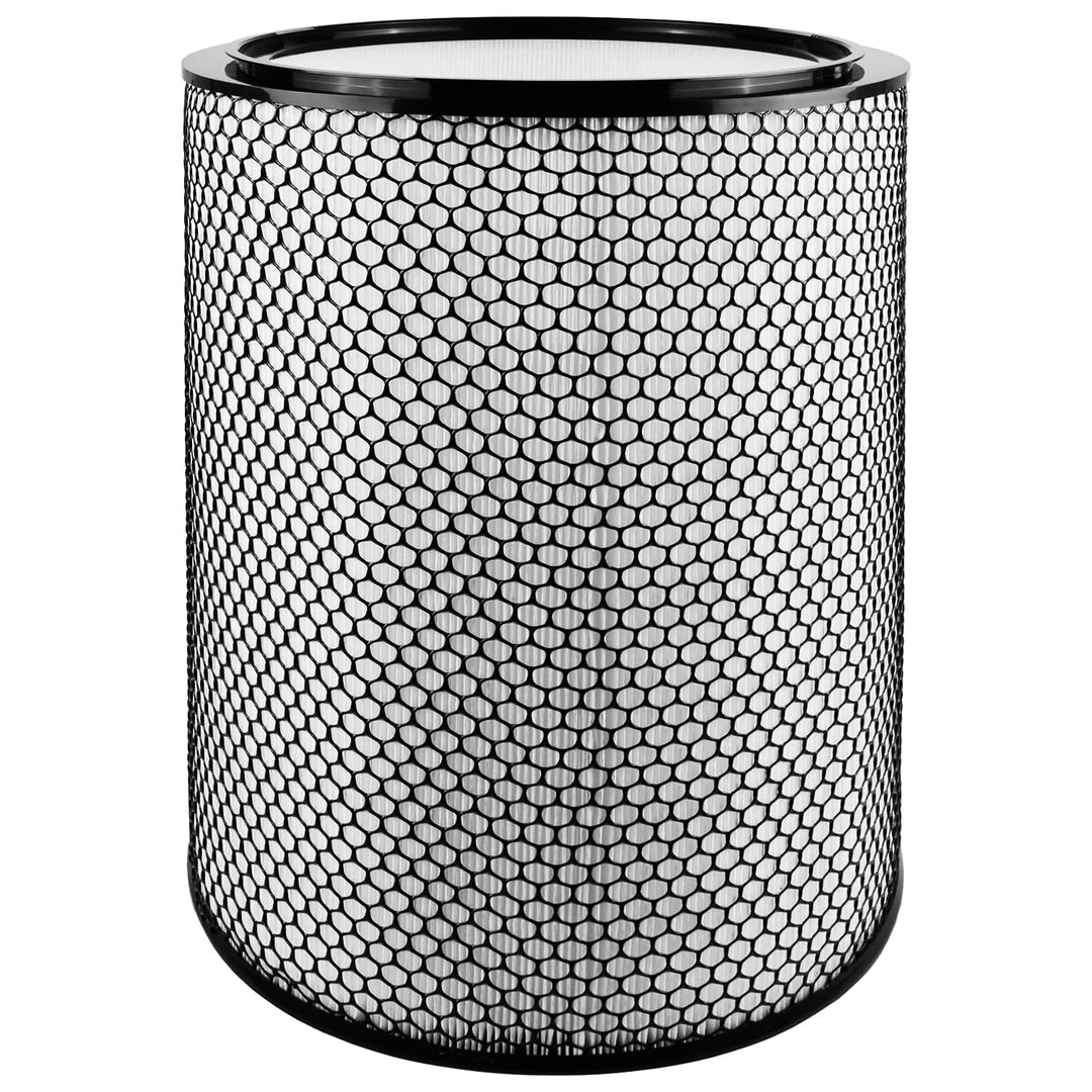 PRIMEBAG HEPA Filter kompatibel mit Dyson BP03 BP04 BP06 Big+Quiet Formaldehyde Luftreiniger - Ersat