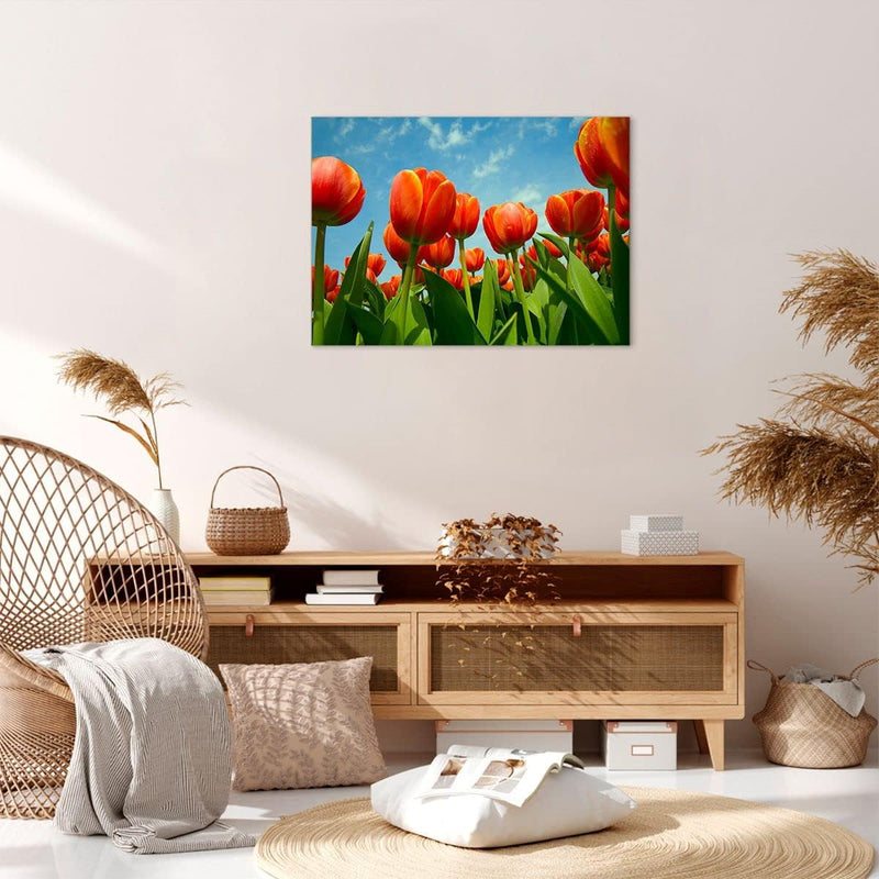 Bilder auf Leinwand Tulpe Blume blauer Himmel Leinwandbild 70x50cm Wandbilder Dekoration Wohnzimmer