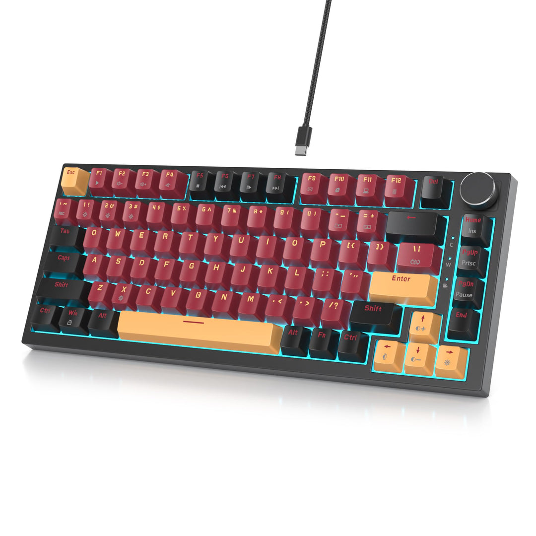 SOLIDEE 75% mechanische Gaming-Tastatur,hot-swap-fähige Tastatur mit rote Schalter,RGB-Hintergrundbe