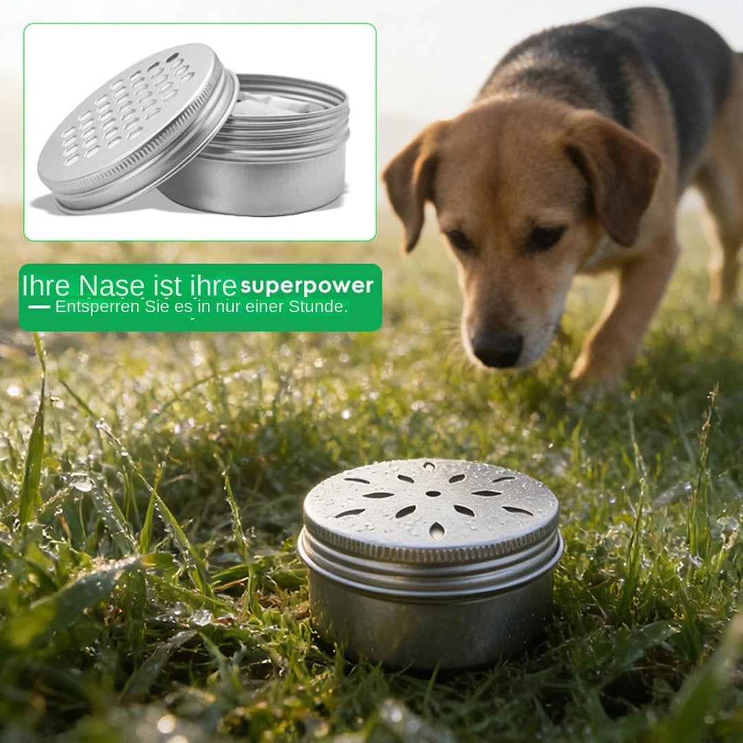 Scent Kit, Metal Training Tins, 2.8x2.8x1.34 Inches Scent Work Containers with Secure Seal Design, S